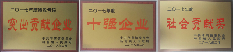 新光公司再獲所前鎮“突出企業貢獻獎”等多項榮譽