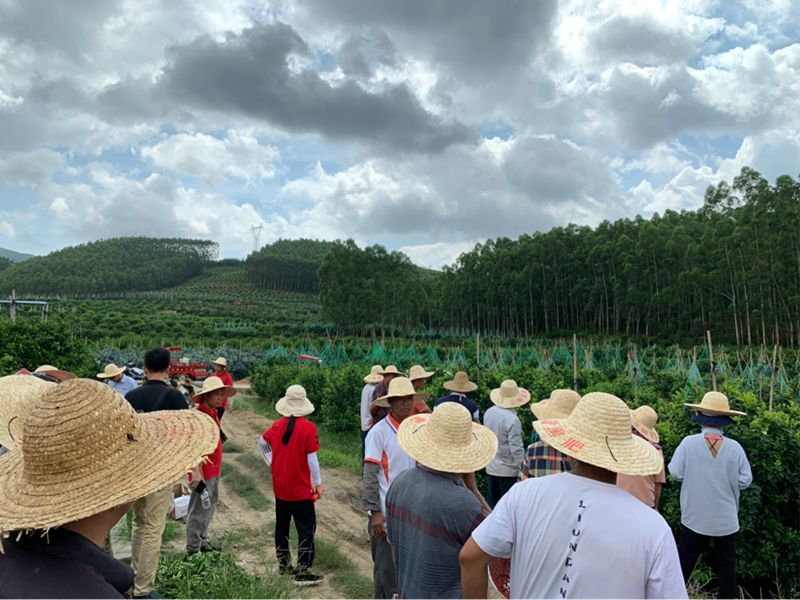 愛普科技經銷產品助力武鳴柑橘種植